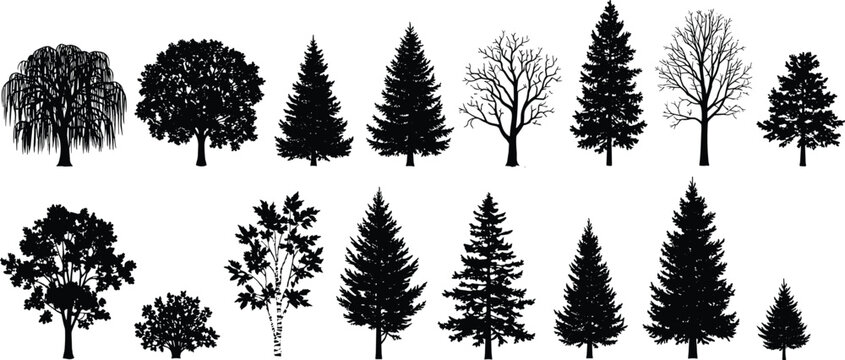Diverse Black Tree Silhouettes Vector Pack, Including Deciduous and Coniferous Species in Summer and Winter, for Architectural Drawing, Landscape Design, and Nature Graphic Elements