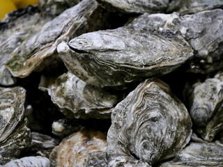 Fresh oysters at a French seafood market, traditional festive food , close up photo