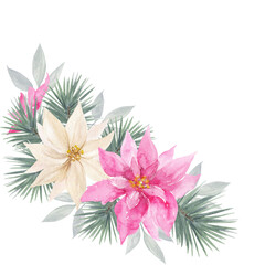 Obraz premium Watercolor pink and white poinsettias with pine greenery. Beautiful festive floral arrangement perfect for Christmas cards and seasonal designs.
