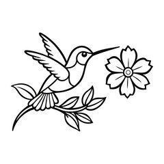 Obraz premium A delicate hummingbird hovers among blooming flowers, capturing nature’s charm in intricate lines, perfect for coloring and bringing this lively scene to life. 