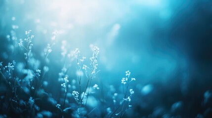 Obraz premium Delicate wildflowers standing in a field create an ethereal, natural background, bathed in soft, glowing blue light with a dreamy, tranquil mood and mystical bokeh effect