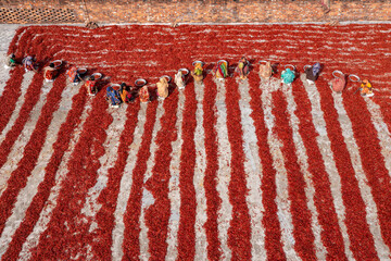 Aerial view of vibrant red chili peppers drying in neat rows under the sun, creating a striking contrast against the pale ground, Sariakandi, Rajshahi Division, Bangladesh.