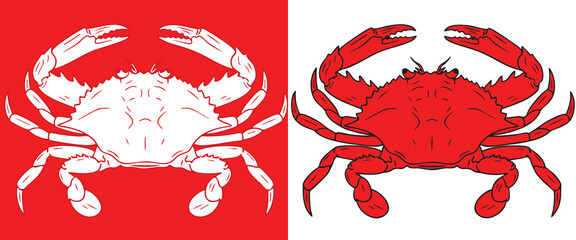 Two Styles of Detailed Red Crab Illustrations Monochromatic and Outlined Vector Graphic