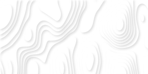 Abstract dynamic layout white papercut luxury diamond creative topography map background. vector natural shadow papercut web banner template spiral line texture.