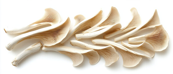 Fresh white oyster mushrooms isolated on white background, showing natural texture and delicate gills. Ideal for food, cooking, agriculture, vegan, health, and ingredient related design projects.