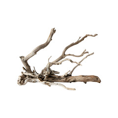 Obraz premium Dried Tree Branch Decoration for Aquarium or Home Decor
