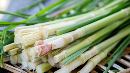 Fototapeta premium Infuse Dishes with Thai Lemongrass – Thailand’s Aromatic Herb, Where Bright Citrus Zest, Fresh Green Notes, and Tropical Charm Elevate Global Flavors