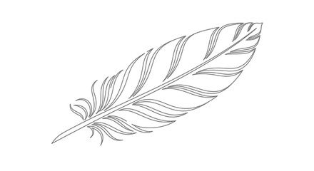 Single feather line drawing isolated on white background, Vector © Dhalu