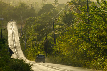 Rural road surrounded by tropical vegetation, Conde, Para&iacute;ba, Brazil