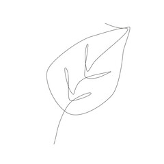 Leaf plant illustration. Continuous line art. Botanical nature drawing. Minimalistic foliage Vector.