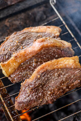 Grilled Picanha Steaks on a Barbecue Grill Braziliam Churrasco