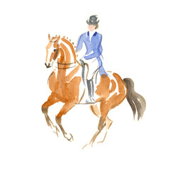 Watercolour illustration of a dressage horse and rider in a blue jacket, performing pirouette