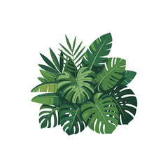 Tropical Green Leaves Collection with Monstera and Palm Foliage Isolated on White Background