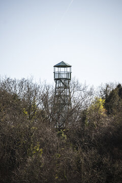 View of a tall, weathered tower rises above a tangle of bare branches, framed against a pale blue sky, a beacon amidst the muted tones of early spring, Cheddar, England, United Kingdom.