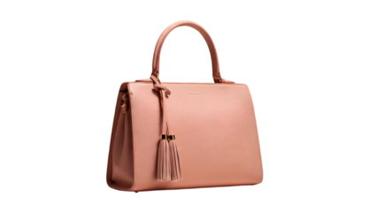 brown leather bag isolated