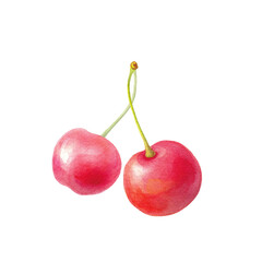 水彩のさくらんぼ 2粒  背景透過 PNG素材（単体・手描き）