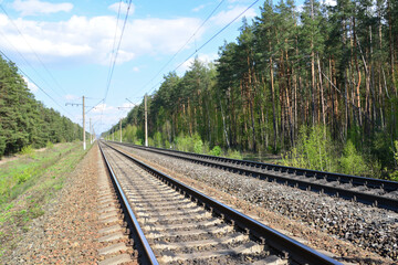 Railway Tracks going to horizon Through a Lush Pine Forest on a Sunny Day