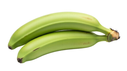 Two green plantains PNG isolated on transparent background, unripe cooking bananas for Caribbean and Latin American cuisine