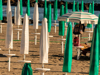 beach umbrellas on the beach