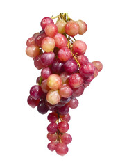 Fresh, juicy grapes in vibrant shades of red and purple, a delicious treat
