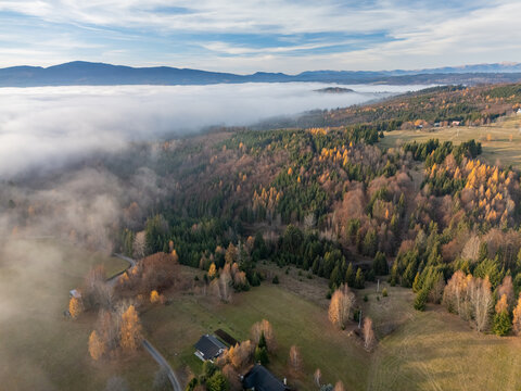 Aerial view of mist-shrouded valleys and hillsides, with pockets of autumnal trees adding splashes of gold amidst the evergreens, Detvianska Huta, Banskobystricky kraj, Slovakia.