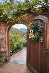 View from the door to the beautiful garden during Christmas season in California 