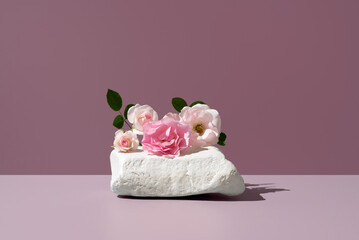 Eléboro rosas de invierno. Rosas de navidad de color blanco y rosa  colocadas sobre una piedra y un fondo rosa 