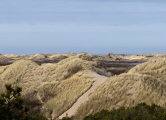 sand dunes and sea