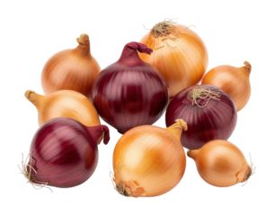 Harvesting fresh onions varieties displayed on isolated on transparent background