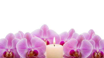 Relaxing candlelit orchid arrangement setup calm isolated on transparent background
