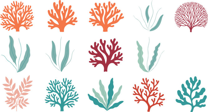 Colorful Underwater Seaweed and Coral Vector Collection in Flat Design Style, Including Kelp, Sea Anemone, and Marine Plants for Ocean Life Design