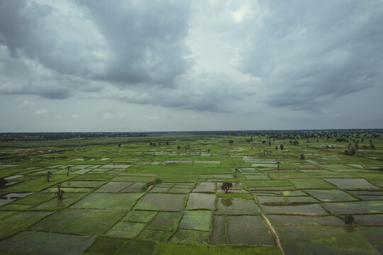 Aerial view of lush green fields and water-filled paddies under a dramatic, expansive sky, a patchwork quilt of agriculture stretching to the horizon, Minjibir, Kano, Nigeria.