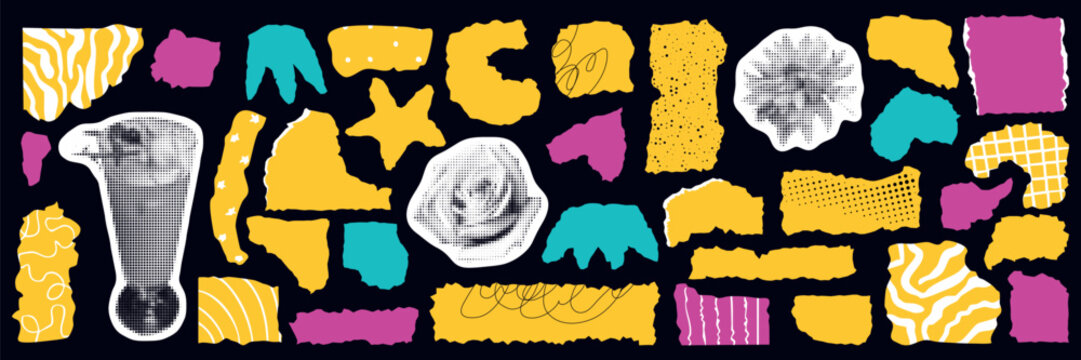 Collage of vintage torn paper elements with halftone textures. Retro scrapbook cutouts featuring old book pages, floral stickers, and grunge backgrounds.