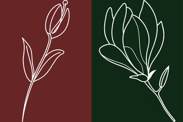 Elegant Floral Line Art Designs, Minimalist Botanical Illustrations For Modern Decor