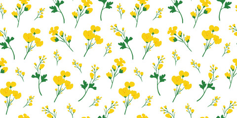 Herbal seamless pattern with hand drawn rapeseed flowers on white background. Blooming canola plants.