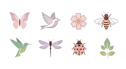 A colorful illustration set of various insects and flowers on a white background with green leaves and a hummingbird in flight.
