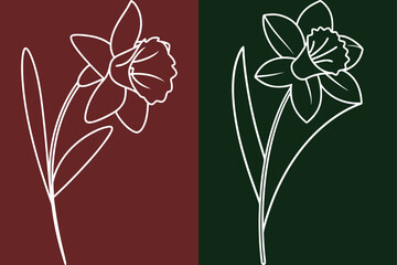 Elegant Daffodil Floral Line Art, Botanical Illustration, Spring Blossom Design Elements