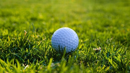 Golf ball resting on green grass close up.