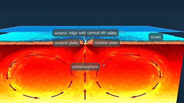 Tectonic plates move divergently, convergently, or transform; divergence forms rifts and mid-ocean ridges.