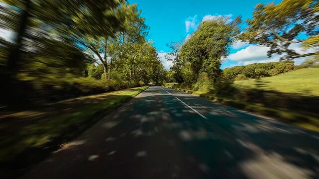 Rolling through countryside road shaded by tall trees and surrounded by grassy fields POV. Passing along rural highway lined with greenery and electric poles first person view. Cruising down scenic