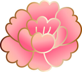 Soft Pink Plum Blossom