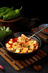 Spicy Mapo Tofu with Pork - Traditional Chinese Cuisine