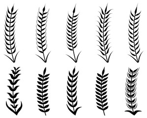 Naklejka premium Wheat Ear Silhouette Set