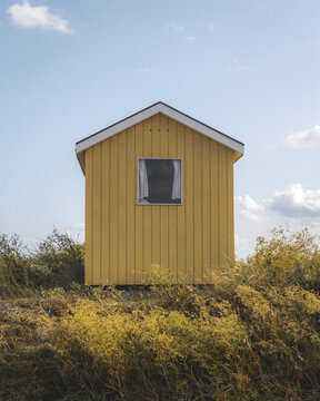 View of a vibrant yellow beach hut stands out against the muted greens and browns of the grassy dunes under a soft, clear sky, Badehuse ved Vestre Strandvej, Ero Municipality, Denmark.