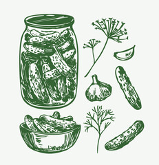 Pickles, gherkins, cucumbers in a jar, hand drawn sketch, realistic vector illustration