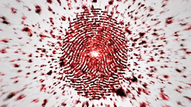 Fingerprint scanning and identification process.