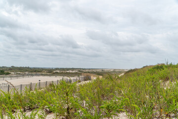 Coastal Sand Dunes at Assateague Island National Seashore