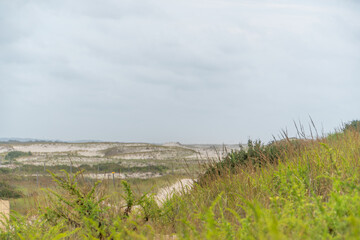 Coastal Sand Dunes at Assateague Island National Seashore