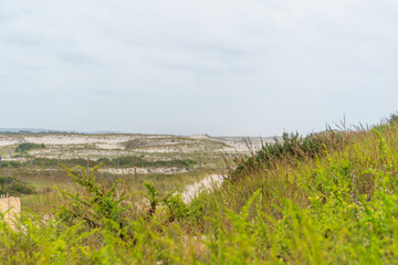 Coastal Sand Dunes at Assateague Island National Seashore