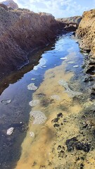 Rocky coastal tide pool with seawater and foam natural shoreline texture photography